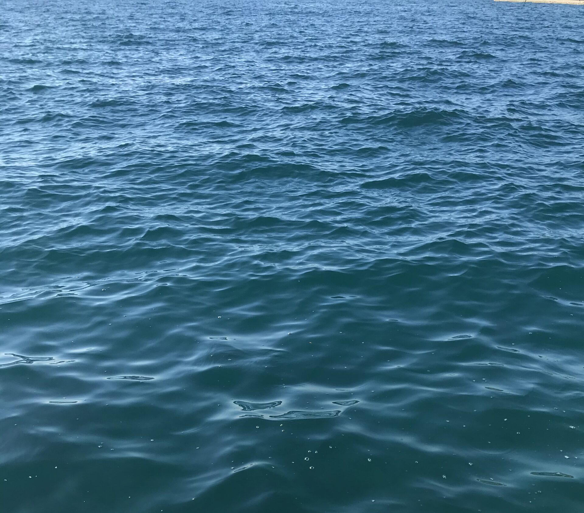 10b84c9a d0f7 47d6 8f6a 298046e9df12