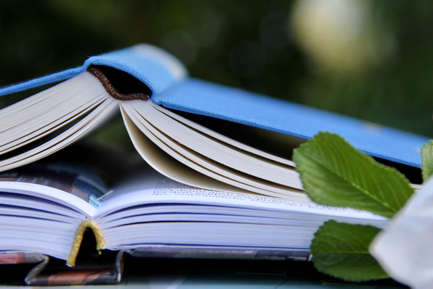 lesenswert lesenswert